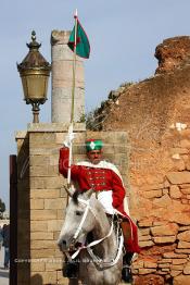 Image du Maroc Professionnelle de  Un cavalier de la garde royale devant l'entrée de l'esplanade de la mosquée (Tour Hassan) qui fît construite à la fin du XIIe siècle par le Sultan Yacoub el Mansour (dynastie Almohade) désireux de construire la plus grande mosquée du monde doté de 400 colonnes, la construction n’a pas été achevé suite à la mort du sultan en 1199, La tour Hassan est le symbole de Rabat son esplanade abrite le Mausolée Mohammed V de Rabat, Jeudi 1er Mars 2007.(Photo / Abdeljalil Bounhar)
